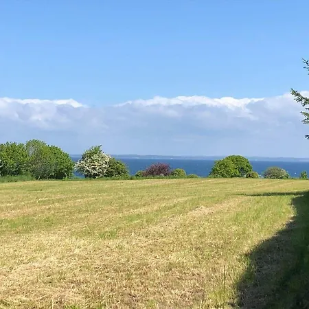 Sb50639-augustenborg-graeskobbel-8 *